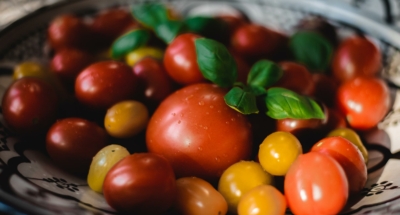 Mozzarellabruschetta - Galbani