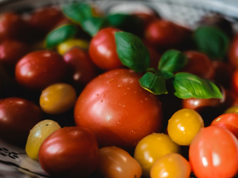 Mozzarellabruschetta - Galbani